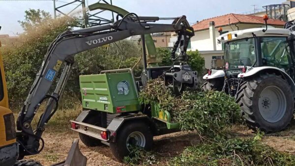 Pezzolato Ph 40 70 4