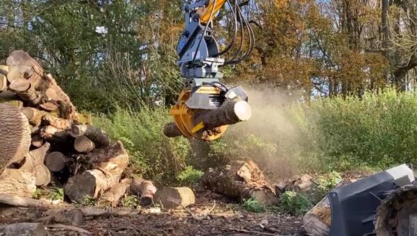 488600138 1063403262488580 3795632569595896329 N